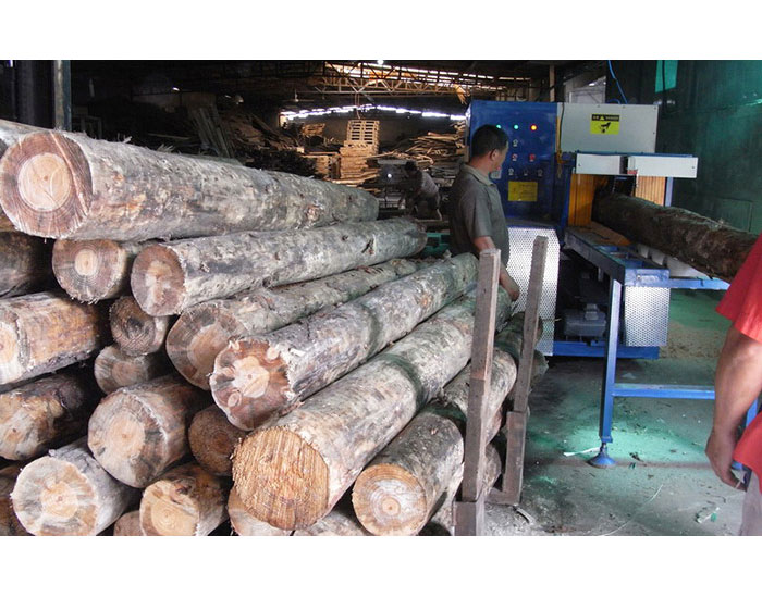 浙江省寧波市北侖區-圓木350機加工現場0