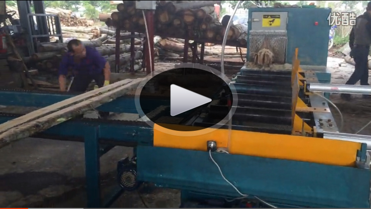 原木多片鋸生產線&nbsp;正啟機械廠&nbsp;廣東西樵山桉木加工現場