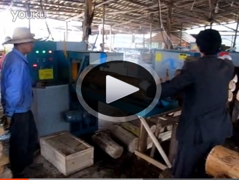 原木多片鋸25機(jī)客戶現(xiàn)場(chǎng)