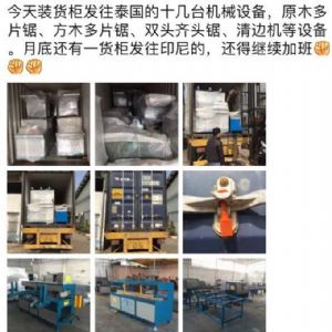 泰國東部加工橡膠木生產設備，圓木多片鋸生產線