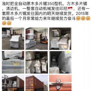 2017年發貨國外rn400-250型原木多片鋸生產線 ，鋸木機生產線