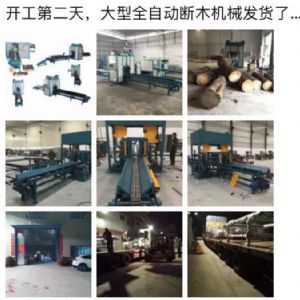 2017年發貨國內250型原木斷木機生產線 圓木截木機，鋸木機生