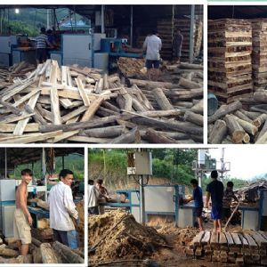 圓木多片鋸-越南-廣寧省-先安250型機加工現場