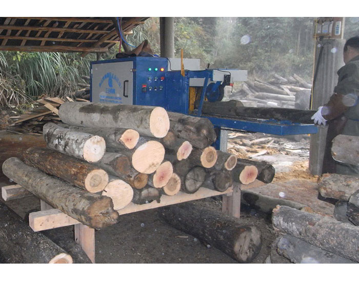 湖南省-韶陽市-圓木多片鋸250機型加工現場