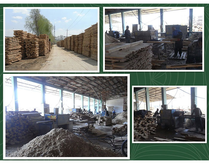 吉林梅河口-圓木300多片鋸-方木150高多片鋸加工現場